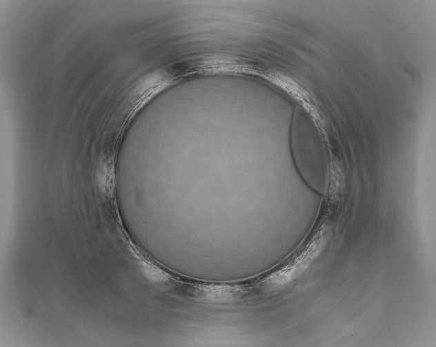 X0000110950897200907101305