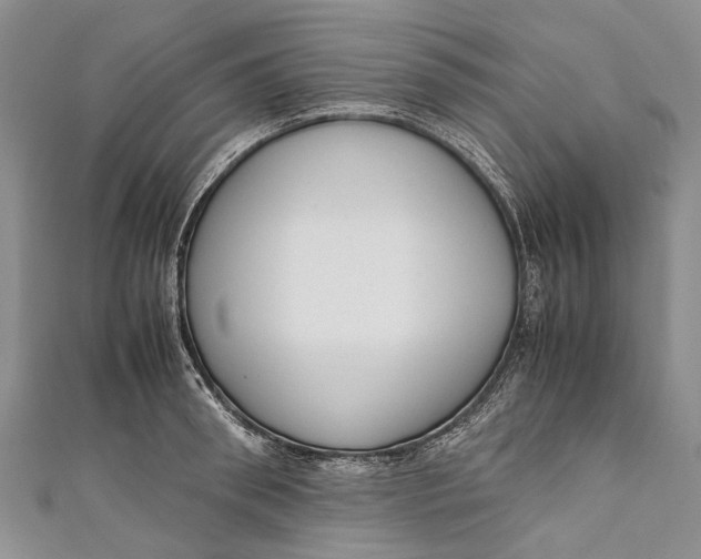 X0000110950898200907101305