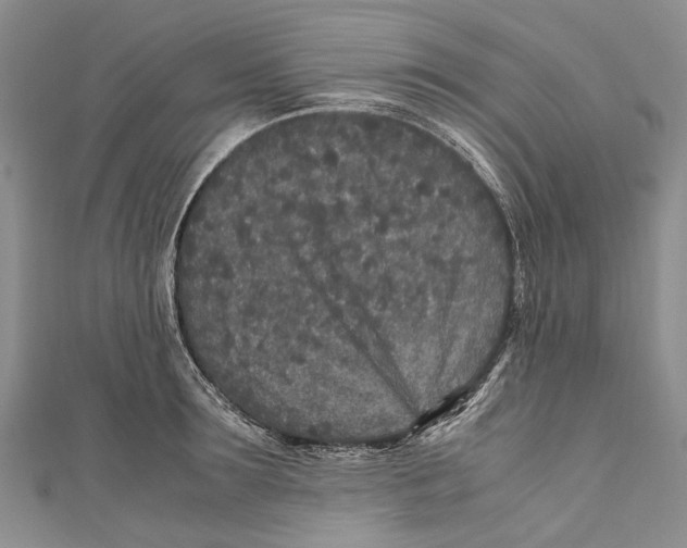 X0000110950899200907101305