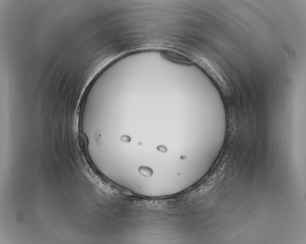 X0000110950900200907101305