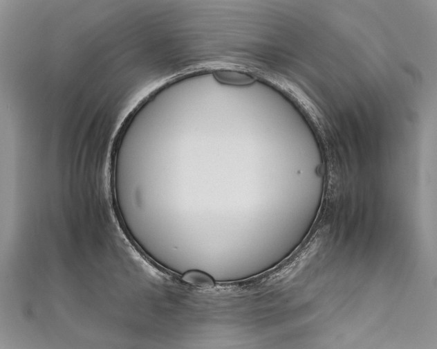 X0000110950902200907101305