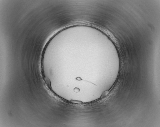 X0000110950904200907101305