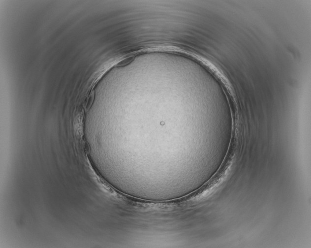 X0000110950905200907101305