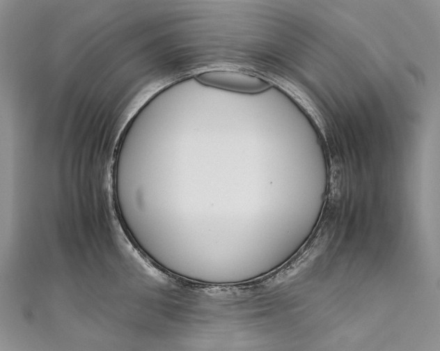 X0000110950906200907101305