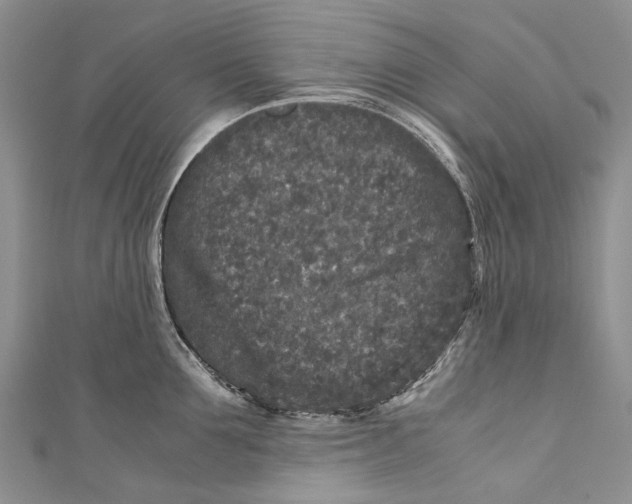 X0000110950907200907101305