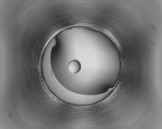 X0000110950908200907101305