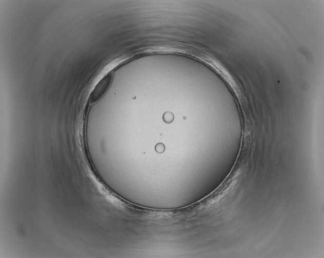 X0000110950909200907101305