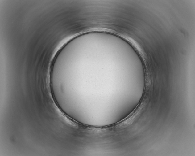 X0000110950910200907101305