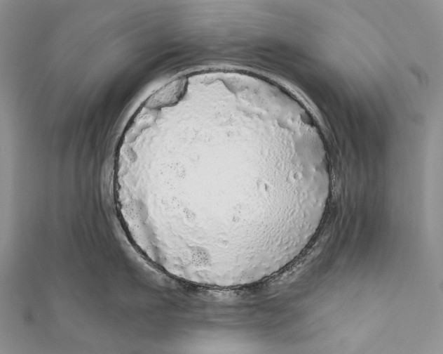 X0000110950911200907101305