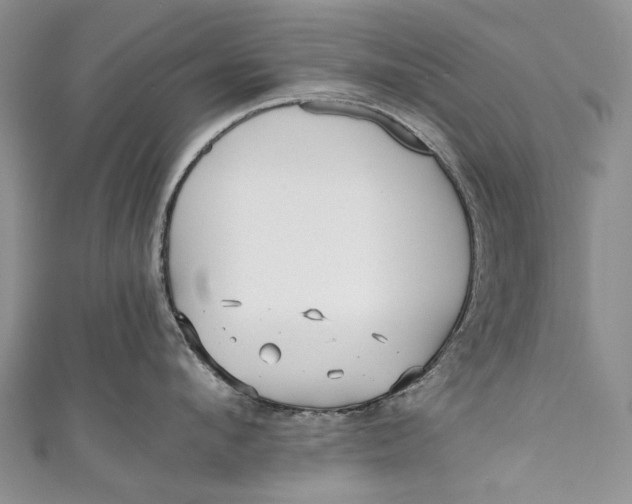 X0000110950912200907101305