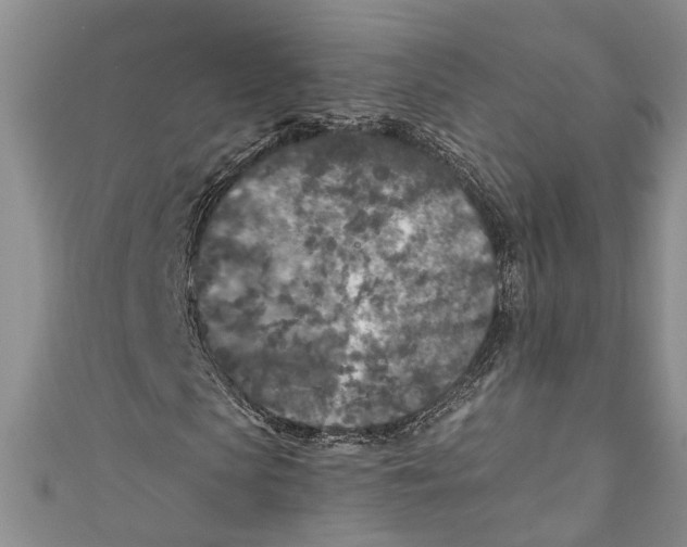 X0000110950913200907101304