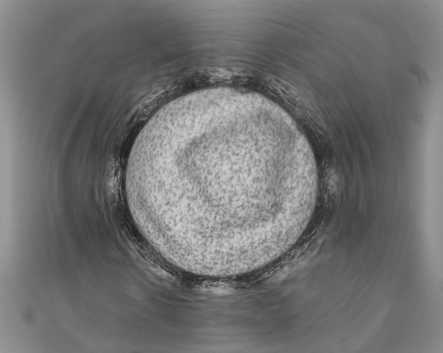 X0000110950914200907101304