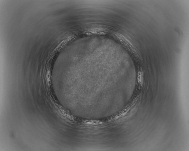 X0000110950915200907101304