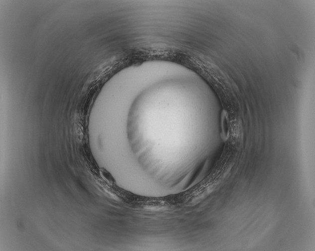 X0000110950916200907101304