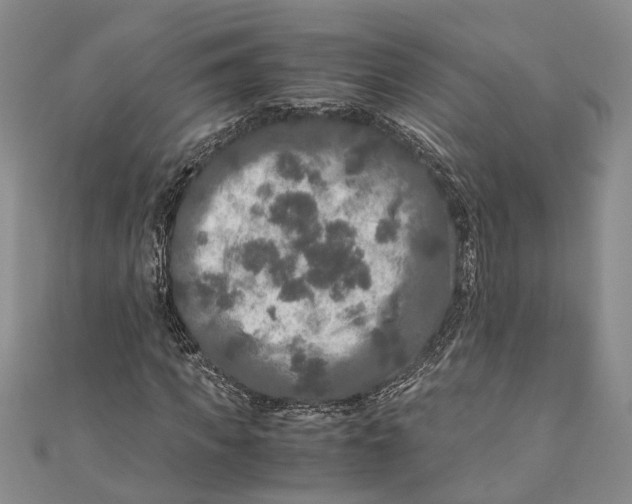 X0000110950917200907101304