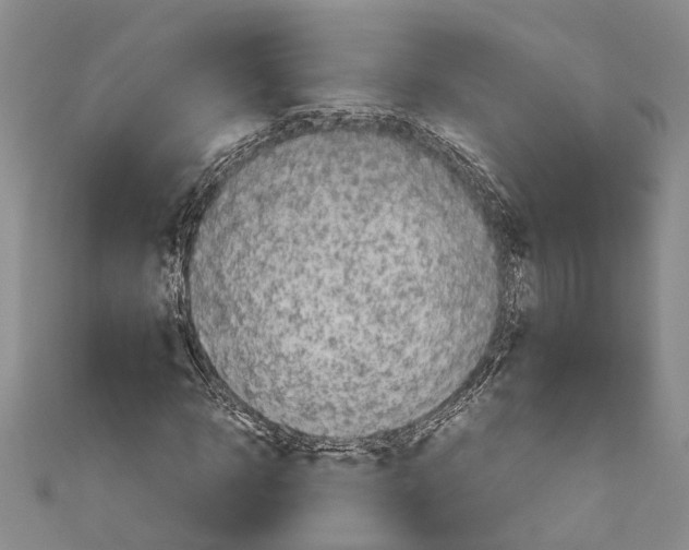 X0000110950918200907101304