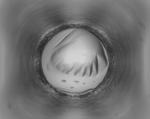 X0000110950920200907101304