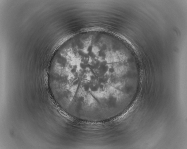 X0000110950921200907101304