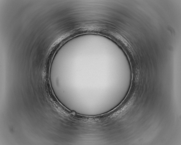 X0000110950922200907101304