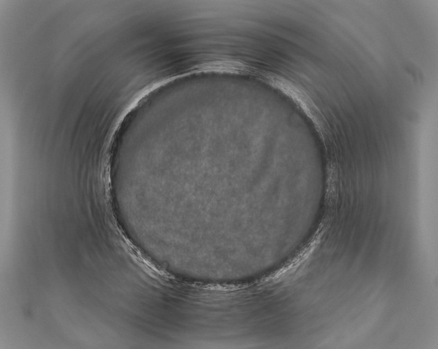 X0000110950923200907101304