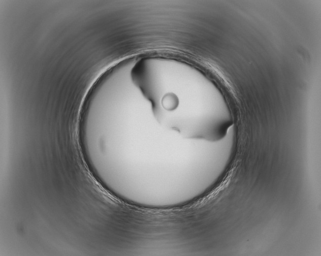 X0000110950924200907101304