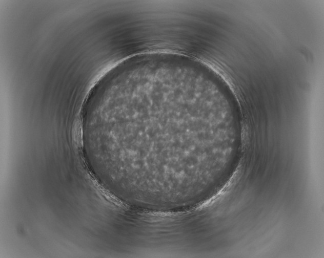 X0000110950925200907101304