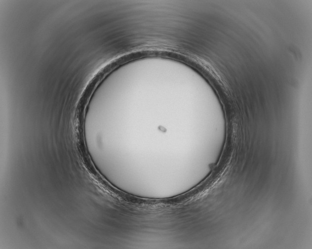 X0000110950926200907101304