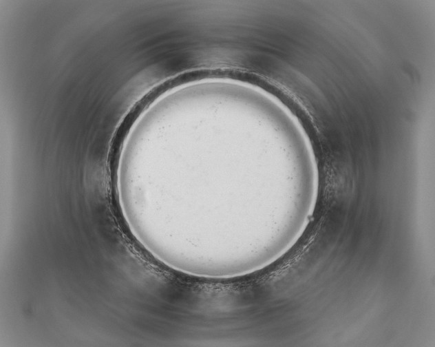 X0000110950927200907101304