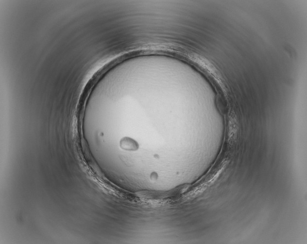 X0000110950928200907101304