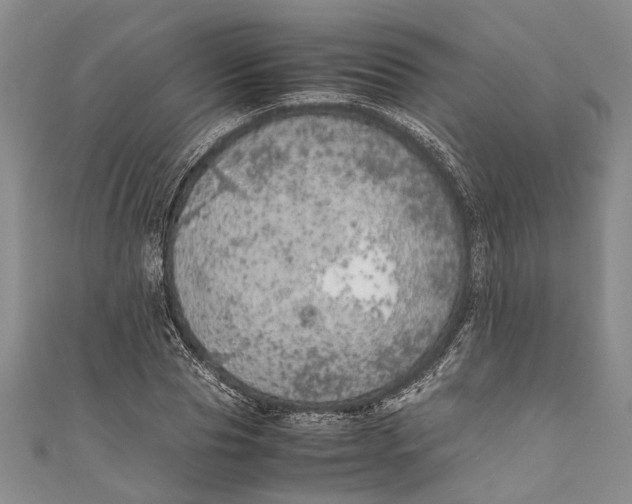 X0000110950929200907101304