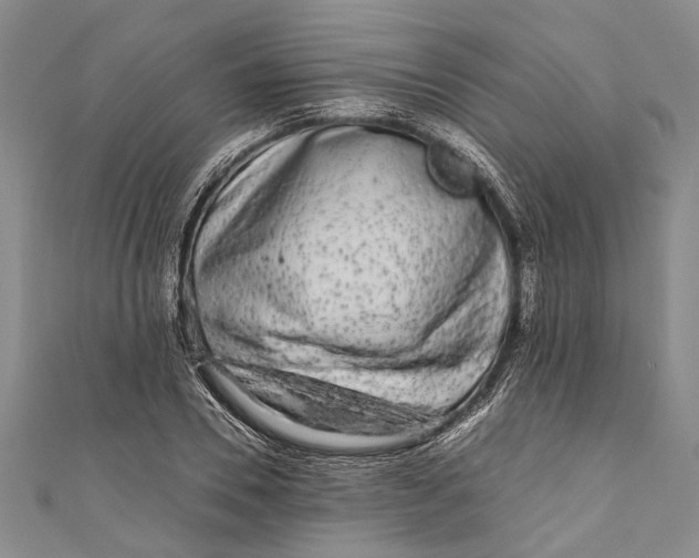 X0000110950930200907101304