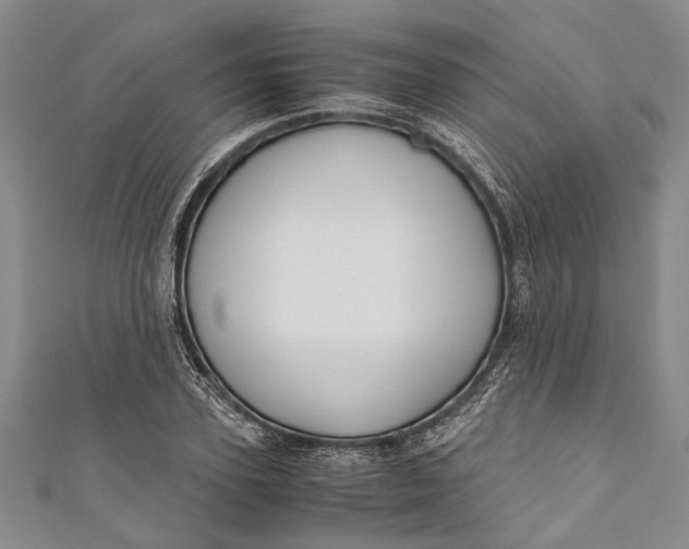 X0000110950931200907101304