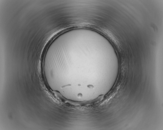 X0000110950932200907101304