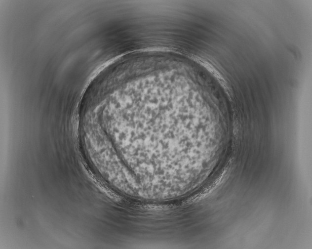 X0000110950933200907101304