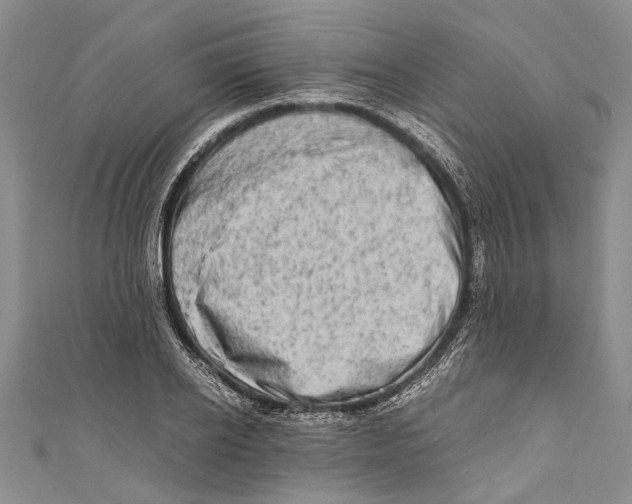 X0000110950934200907101304