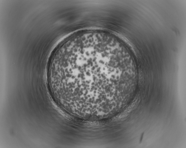 X0000110950935200907101304