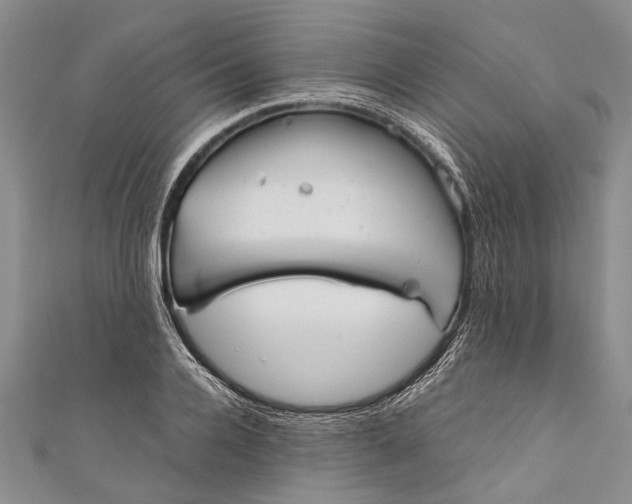 X0000110950936200907101304