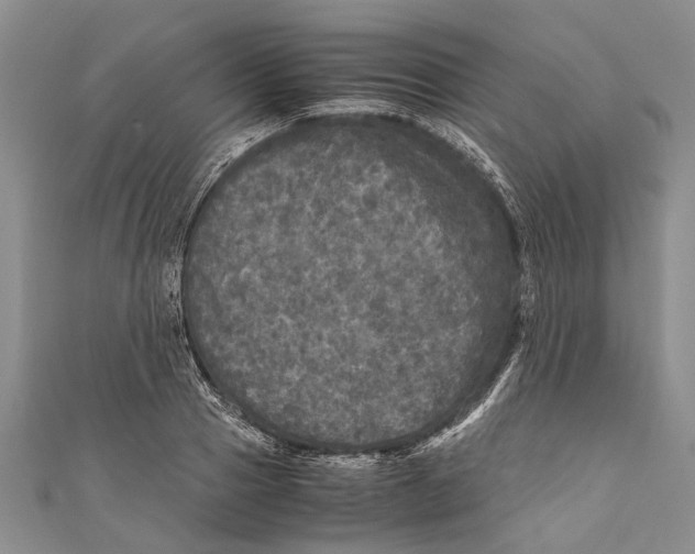 X0000110950937200907101304