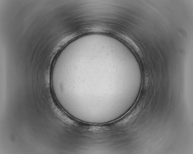 X0000110950938200907101304