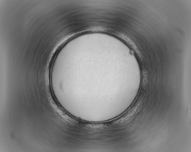 X0000110950939200907101304