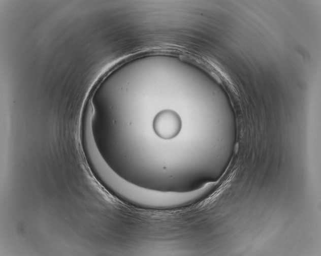 X0000110950940200907101304