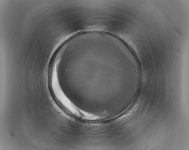 X0000110950941200907101304