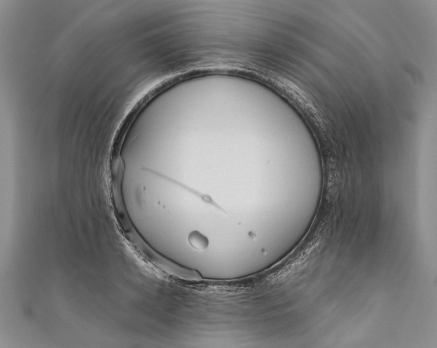 X0000110950942200907101304