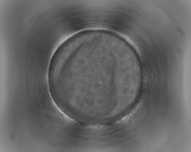 X0000110950943200907101304