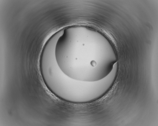 X0000110950944200907101304