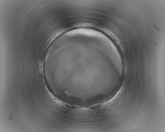 X0000110950945200907101304