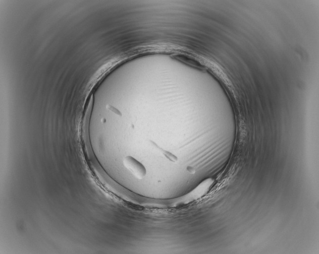 X0000110950946200907101304