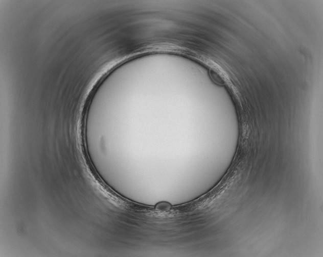 X0000110950947200907101304