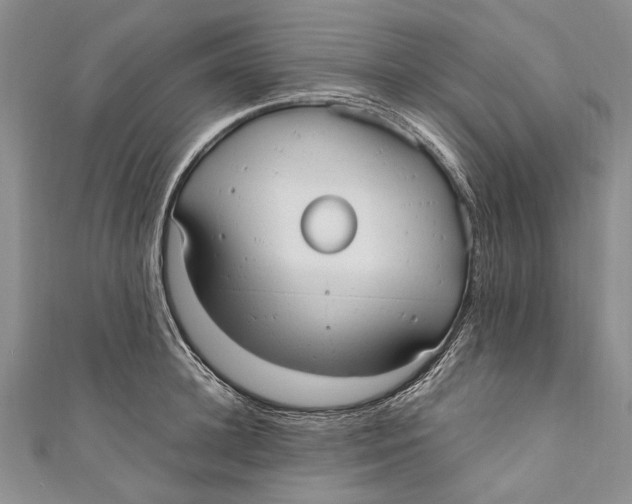 X0000110950948200907101304