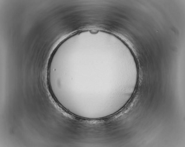 X0000110950949200907101304